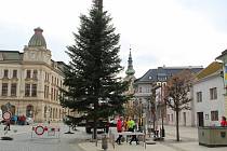 Na Masarykovo náměstí v Přerově dorazil v sobotu dopoledne letošní symbol Vánoc. Vánoční strom tentokrát putoval až z polesí v Partutovicích na Hranicku