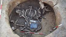 Archeologové našli v sídlištní jámě v Předmostí ostatky nejméně pěti lidských jedinců, jedné krávy a psa. Výzkum na trase dálnice D1 potrvá až do konce roku.