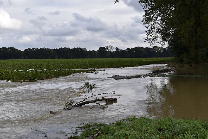 Rozvodněná Morava v Kojetíně, zaplavila třeba i fotbalové hřiště nebo loděnici. 15.10. 2020