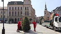 Květinové pyramidy na centrálním přerovském náměstí T. G. Masaryka.