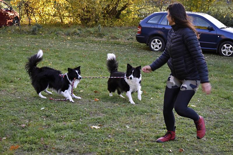 Páteční oslavy 50letého výročí založení Kynologického klubu v Tovačově. 22.10. 2021