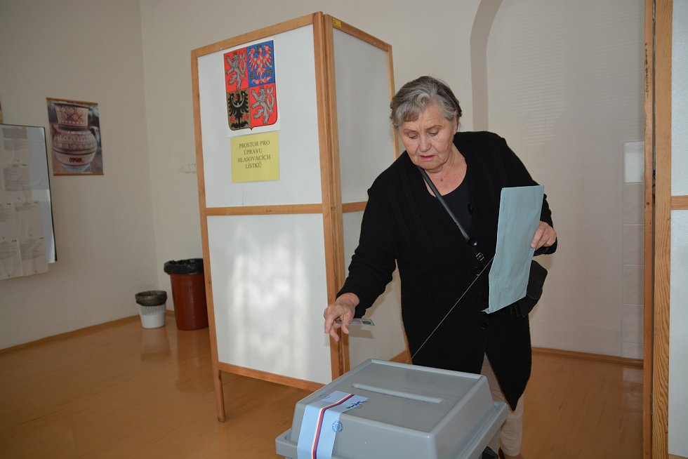 Přerovský deník | Eurovolby 2019 na Přerovsku | fotogalerie