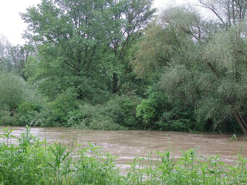 Přerov - Lověšice, středa 2.6. 2010 - odpoledne