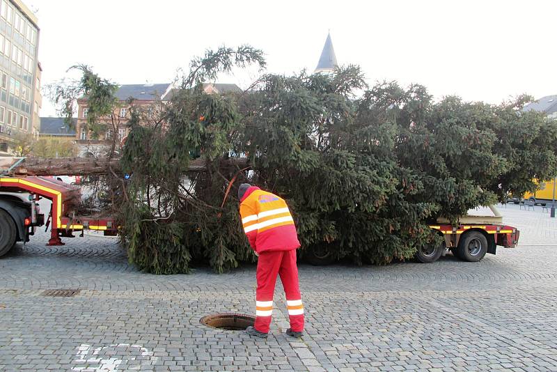 Vánoční strom přivezli na Masarykovo náměstí v Přerově pracovníci technických služeb. Letos putuje do centra města z Jižní čtvrti III.