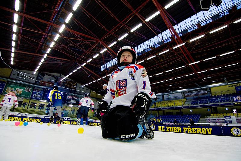 Týden hokeje v přerovské Meo Aréně