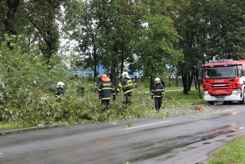 Spadený strom v Přerově směrem na Troubky