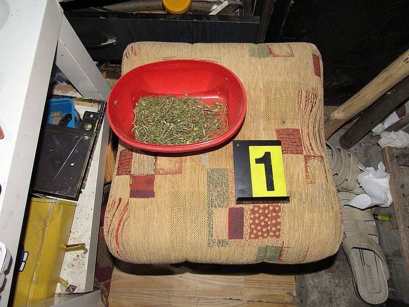 Přerovští kriminalisté našli při domovní prohlídce u muže, který byl obviněn z distribuce drog, na 288 gramů sušené rostliny konopí setého.