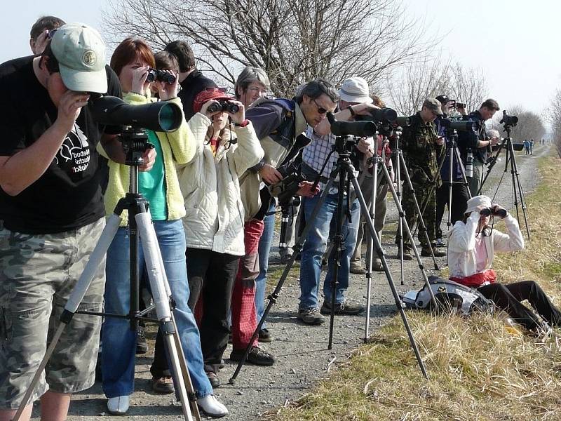 Ornitologická exkurze, Moravský ornitologický spolek.