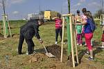 Obnovit slavné Knejzlíkovy sady v Předmostí se rozhodlo město ve spolupráci s Nadací Malý Noe. Pro mnohé Přerovany bylo čtvrteční odpoledne, kdy si mohli vysázet svůj strom, historickým okamžikem.