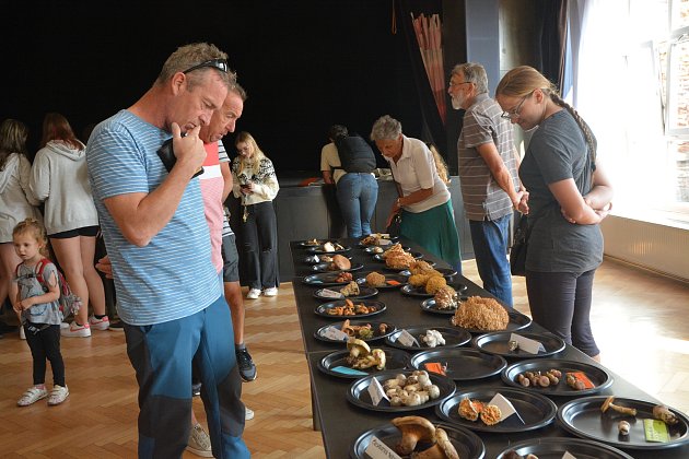 V přerovském klubu Teplo začala v pátek tradiční výstava hub, která potrvá i v sobotu.