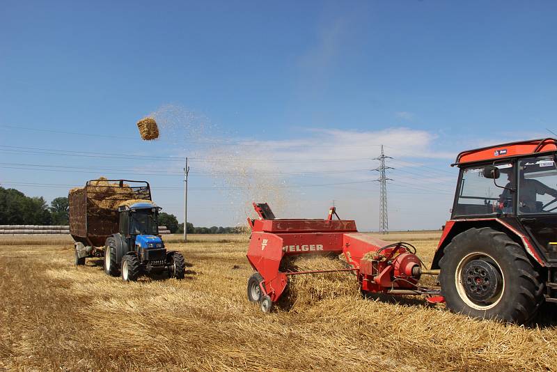 Na Přerovsku se naplno rozběhly žně. V sobotu začnou v zemědělském družstvu v Kokorách sklízet řepku.