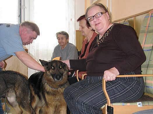 Canisterapie v domově pro seniory 