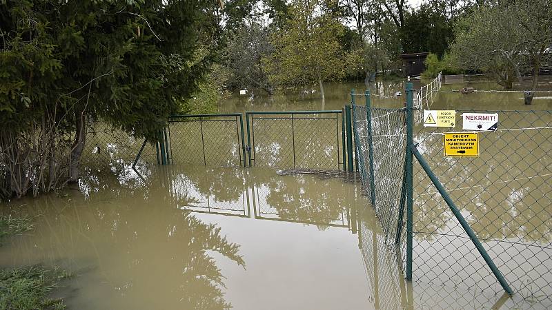 Rozvodněná Morava v Kojetíně, zaplavila třeba i fotbalové hřiště nebo loděnici. 15.10. 2020