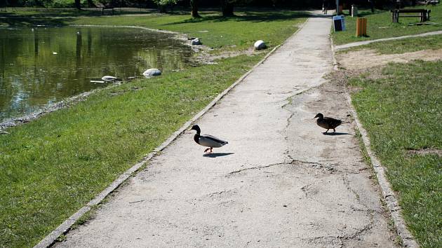 Chodníky na Laguně se dočkají nového povrchu