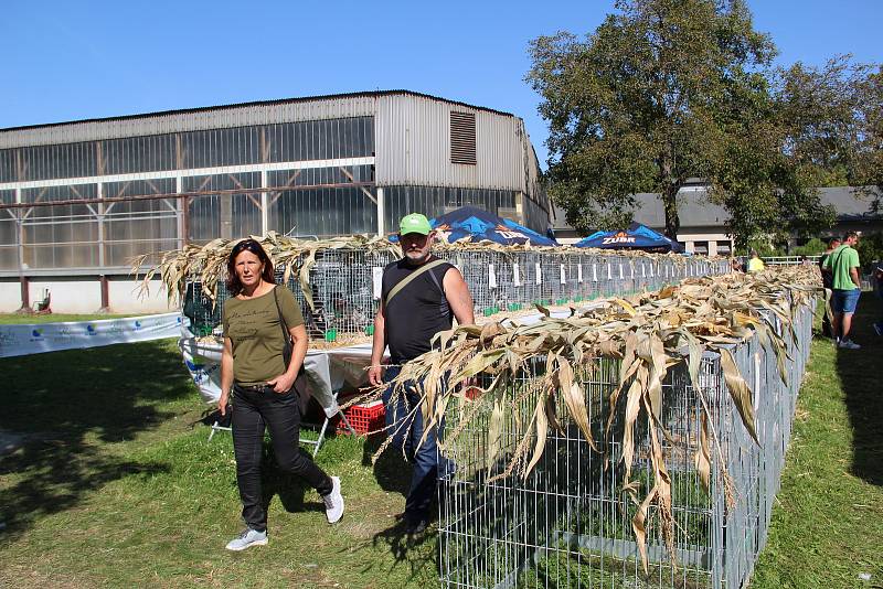 Chovatelská výstava v Přerově, září 2020