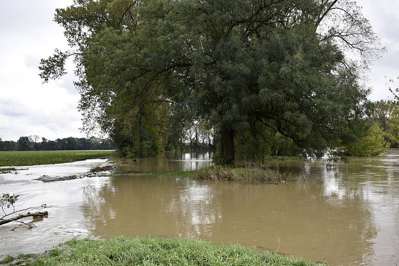 Rozvodněná Morava v Kojetíně, zaplavila třeba i fotbalové hřiště nebo loděnici. 15.10. 2020