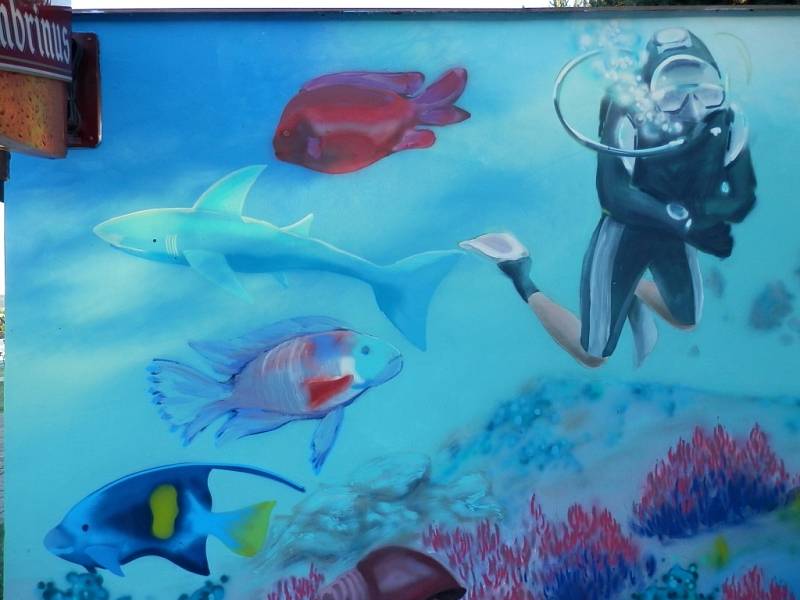 V Lipníku mají moře – podmořský svět připomínají malby na jedné ze stěn v areálu místního koupaliště.