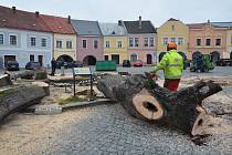 Jeden ze symbolů Horního náměstí v Přerově - letité lípy, byly ve středu 16. března 2022 pokáceny. Důvodem byl špatný zdravotní stav dřevin.