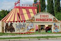 Cirkus Humberto