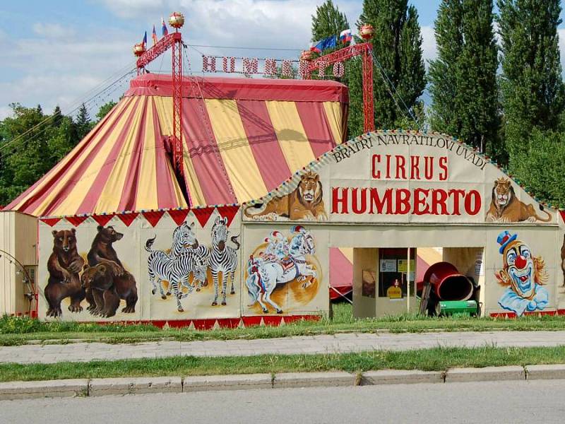 Cirkus Humberto