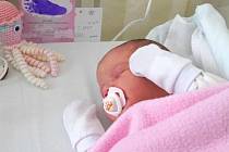 Prvním dítětem, které se letos narodilo v přerovské porodnici, je malá Sofi z Potštátu. Narodila se 2. ledna v 11.20 hodin.