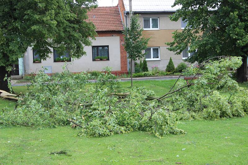 Poničené střechy rodinných domů, vyvrácené stromy a trámy, které se rozletěly jako třísky do okolí. Tak to vypadalo v pátek odpoledne v Uhřičicích na Kojetínsku, kterými se prohnala silná vichřice