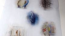 Domov mraků - takový je název výstavy, která začala v neděli v prostorách Výstavní síně Pasáž. Svou tvorbu na ní představily tři autorky - Kateřina Pěkná, Anna Sypěnová a Eliška Fialová.