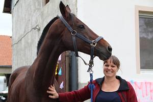 Eva Petříková a Sacamiro v pondělí po triumfu ve Velké pardubické