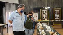 Výstava hub v přerovském klubu Teplo za protikoronavirových opatření, září 2020