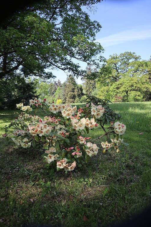 Zámek a park Lešná u Valašského Meziříčí.