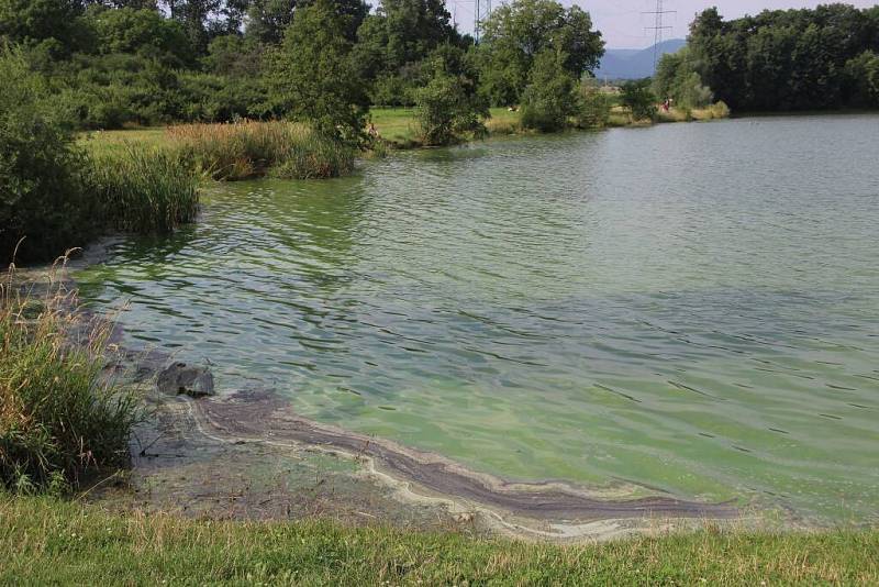 Konec července 2016. Přírodní koupaliště Jadran v Oseku nad Bečvou