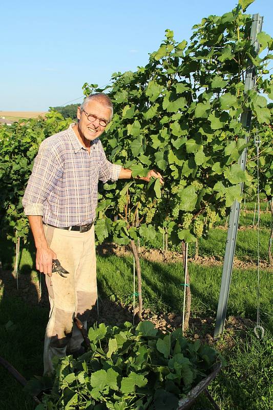 Vladimír Matela vybudoval společně se svou manželkou rodinné vinařství v Sobíškách. Vinnou révu zde pěstuje na rozloze půl hektaru.