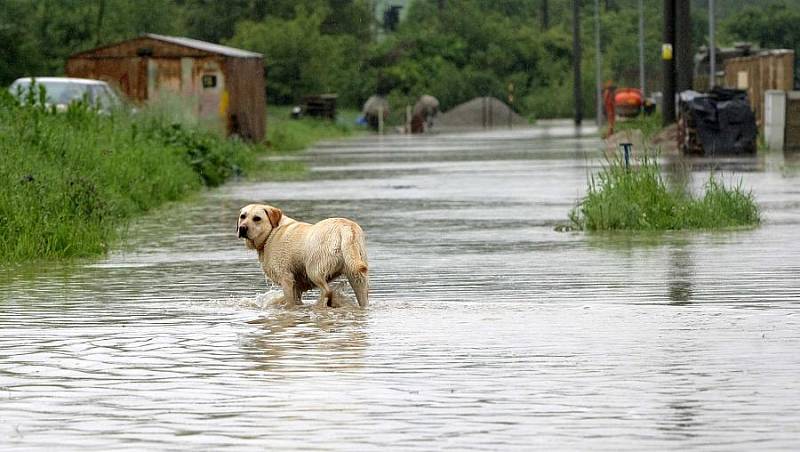 Domaželice na Přerovsku, středa 2.6. 2010