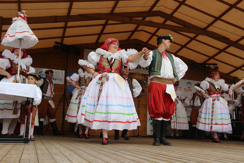 Velkolepý průvod krojovaných Hanáků městem a Ječmínkova jízda králů - takový byl vrchol Kojetínských hodů, které trvaly tři dny. Průvod si nenechaly ujít stovky místních lidí.