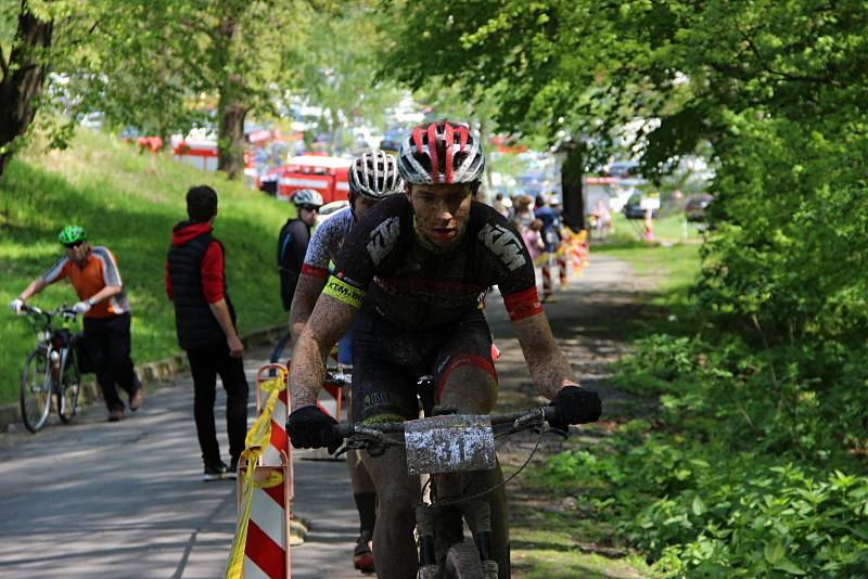 Author Šela Marathon 2017.