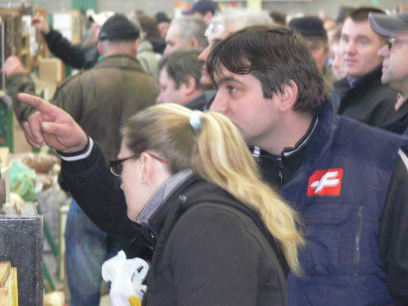 V neděli 13. března se sešli chovatelé exotického ptactva na výstavišti v Přerově.