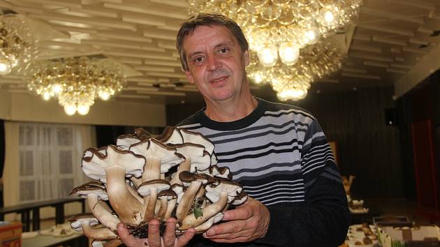 Fotogalerie: Jarní houby a mykolog Jiří Polčák - Prostějovský deník