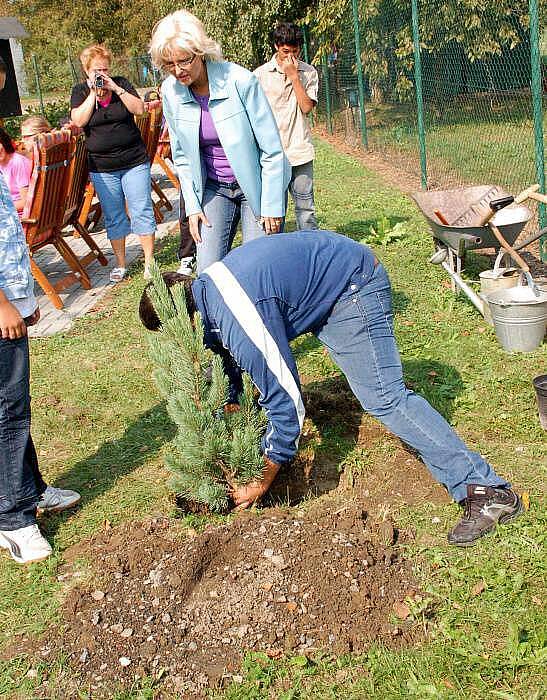 Žáci a učitelé přerovské Základní a mateřské školy Malá Dlážka sázeli Strom míru