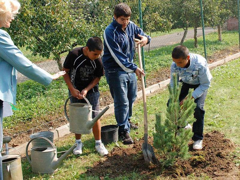 Žáci a učitelé přerovské Základní a mateřské školy Malá Dlážka sázeli Strom míru