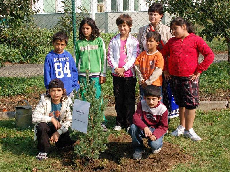 Žáci a učitelé přerovské Základní a mateřské školy Malá Dlážka sázeli Strom míru