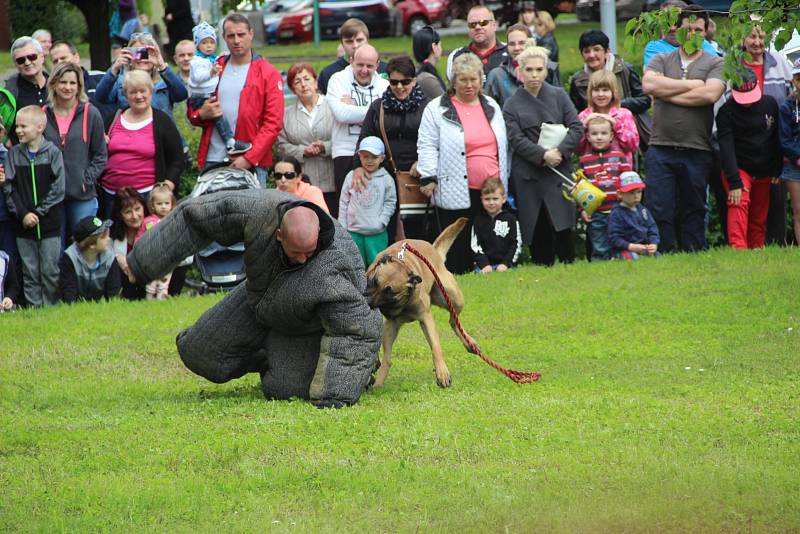 V Přerově si připomněli povstání i Den vítězství