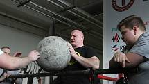 První závody v přerovském Chrámu síly Jiřího Tkadlčíka. Kategorii do 100 kilogramů ovládl jeho bratr Marek. Nad 100 kg byl nejlepší Petr Pastyřík.