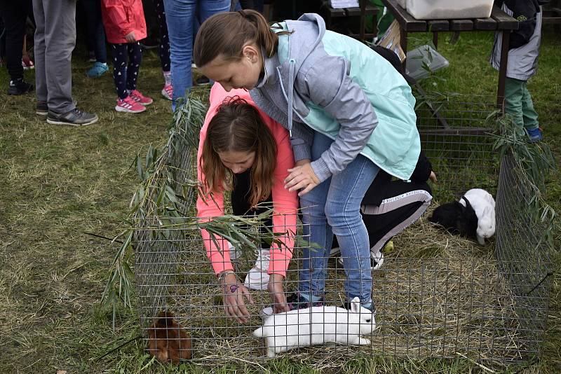 Celostátní výstava domácího zvířectva a Okresní dožínky na přerovském výstavišti. 18.9. 2021