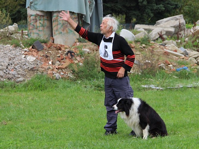 Mistrovství republiky pracovních psů se uskutečnilo v sobotu na výcvikové základně záchranných psů ve Vlkoši.