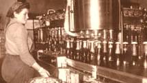 Historie přerovského Pivovaru Zubr, stáčírna lahví.