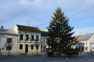 Vánoční strom na náměstí T. G. Masaryka v Přerově