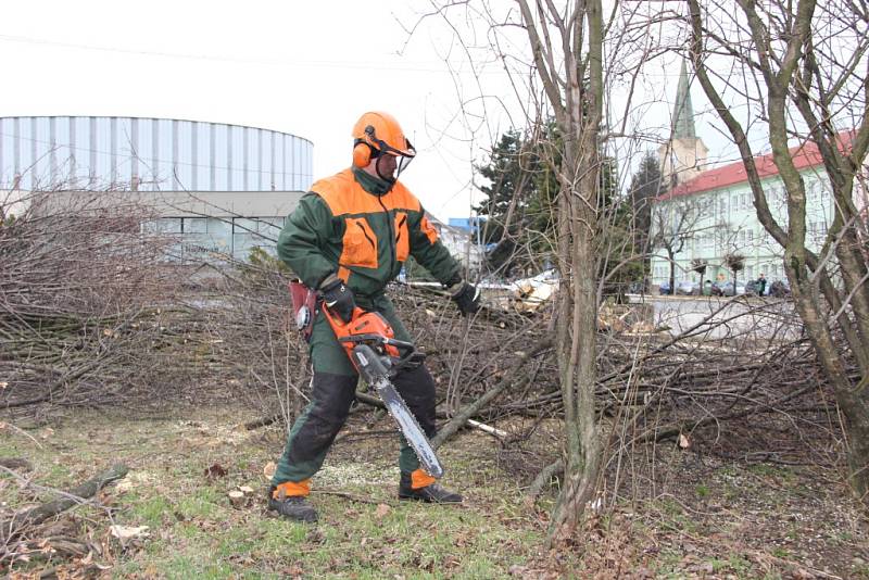 Více než desítka stromů byla vykácena u parkoviště před Priorem. Odstraňování dřevin souvisí s plánovanou rekonstrukcí obchodního domu v Přerově, která by měla začít v dohledné době.