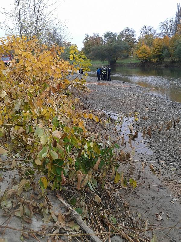 Ke znečištění řeky Bečvy došlo v úterý 27. října také v Přerově - barva vody byla oranžovo-rezavá.