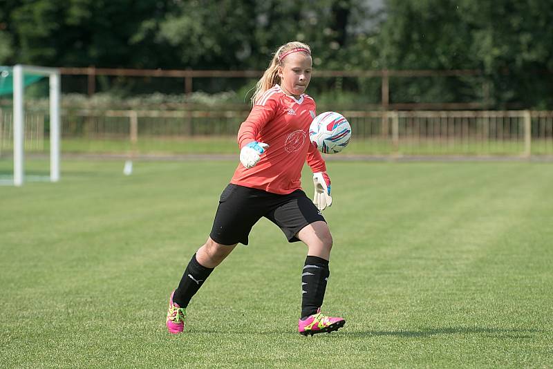 O pohár 1. FC Viktorie Přerov a ZŠ Za mlýnem bojovalo v Přerově 32 elitních družstev starších přípravek z celé republiky.