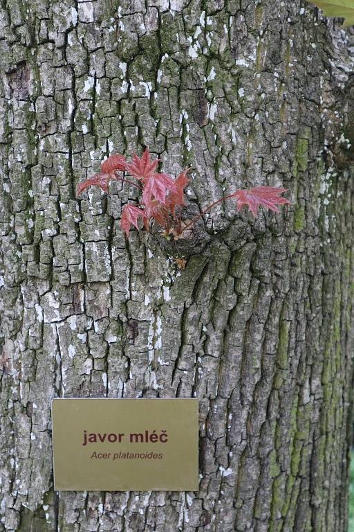 Zámek a park Lešná u Valašského Meziříčí.